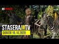 Stasera In TV Giovedì 15 Ottobre Da Non Perdere La Signora Dello Zoo Di Varsavia