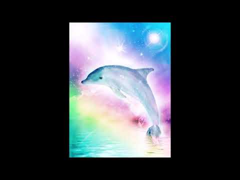 Coral Reef 珊瑚礁  - Toshiya Sukegawa 助川敏弥 (1994)