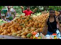La Feria del Mango asi Se pierden en Bani, La vida del campo