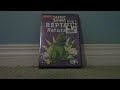 Rugrats Reptar Returns DVD Unboxing