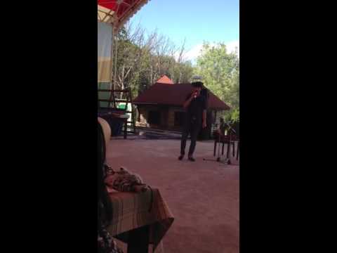 giorgi gogolauri da lado dongvani