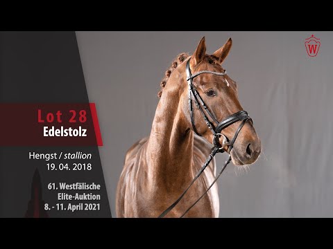 61. Westfälische Elite-Auktion Lot 28 Edelstolz Hengst v. Ehrenstolz - Lissaro