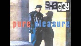 Shaggy - Give Thanks and Praise