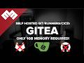 GITEA Efficient Self Hosted Git Runners CICD