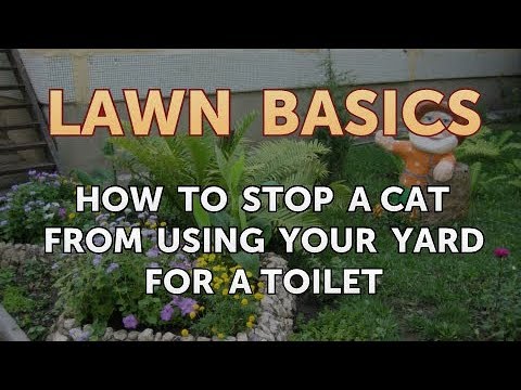 How to Stop a Cat From Using Your Yard for a Toilet