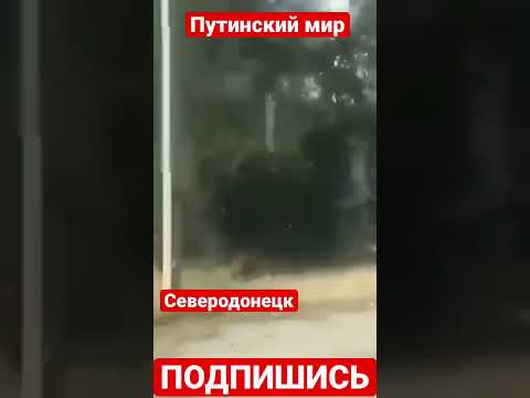War in Ukraine. Ukraine war. Северодонецк💔. Путин принёс мир в Северодонецк.