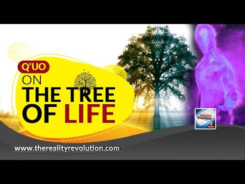 Q'uo On The Tree Of Life