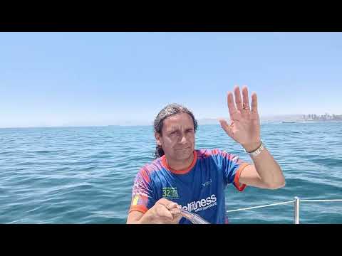 Velero Barcino de 20 pies en Bahía de Valparaíso con viento de 3 nudos. 