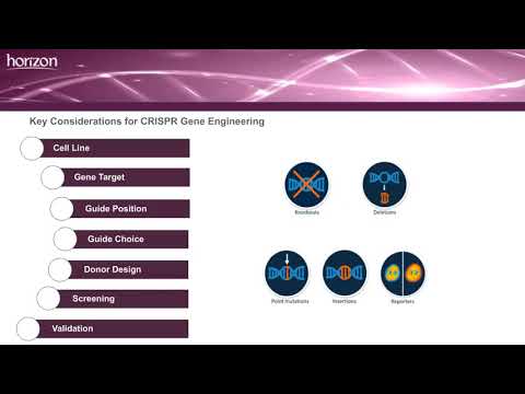 CRISPR-Cas9 genome engineering: Experimental Design and Applications