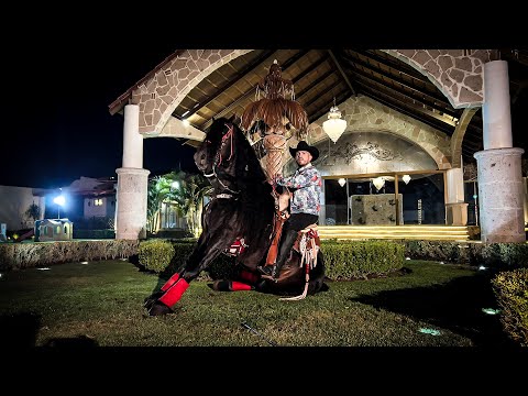 Pancho Uresti - Con O Sin Moneda (Video Oficial)