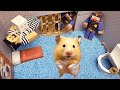Hamster Escapes the Awesome  Minecraft Prison Maze with Haunted Sewers Obstacle Course