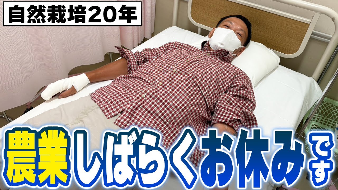 農作業中の指の怪我と休養が教える学び