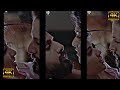 Lie Movies Scene Status Megha Akash Nithiin Romantic Cute Romantic Couples Love Romantic