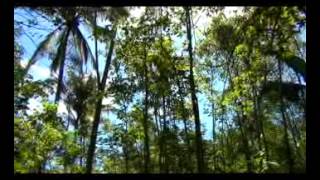 DAS Renggung dan Mareje