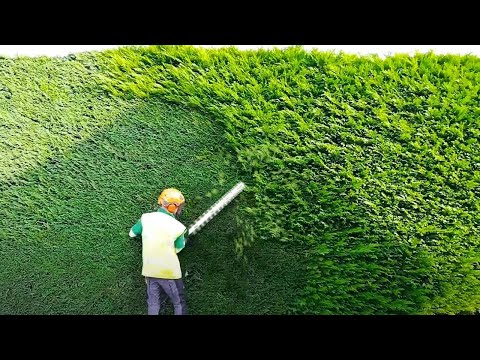 Impresionantes Trabajos De Jardinería Que No Podrás Dejar De Ver