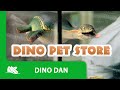 Dino Dan Trek S Adventures Dino Pet Store Episode Promo