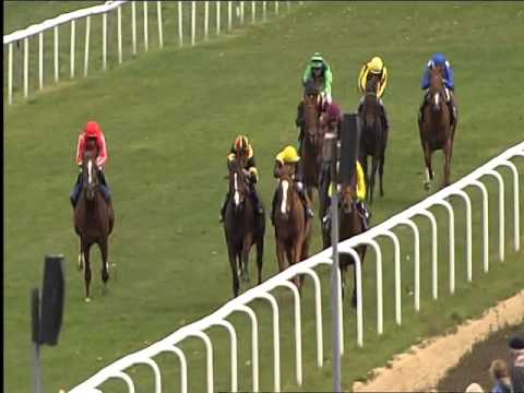 Galopprennbahn Dresden 18.11.2015 - 4.Rennen