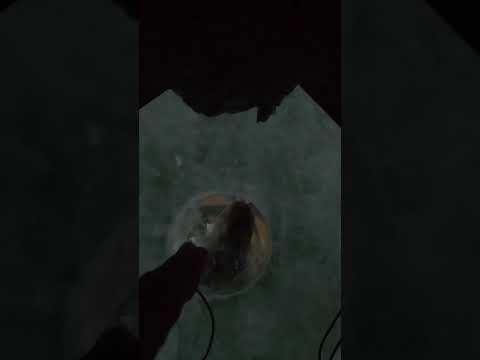 Ice Fishing Burbot - FOOTBALL!!!