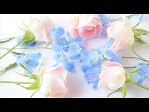 ニコラース・ブロエンベルゲン - 定義