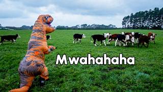 FUNNIEST Viral Videos of the Week 2026 😹 | Hilarious Pets