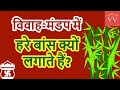 Why Do We Put Green Bamboo In The Wedding Pavilion ShaadiKiRasam Vivah Mandap Kaise Banate H