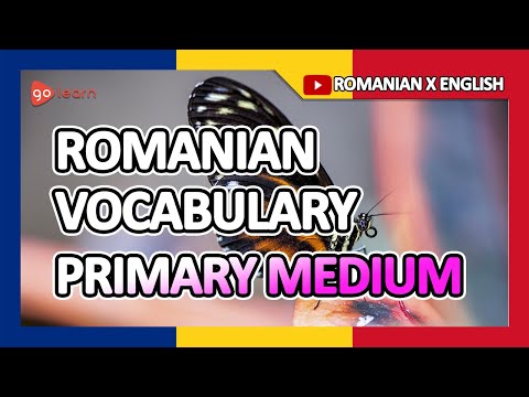 Learn Romanian |Part 5: Romanian Vocabulary Primary medium | Golearn