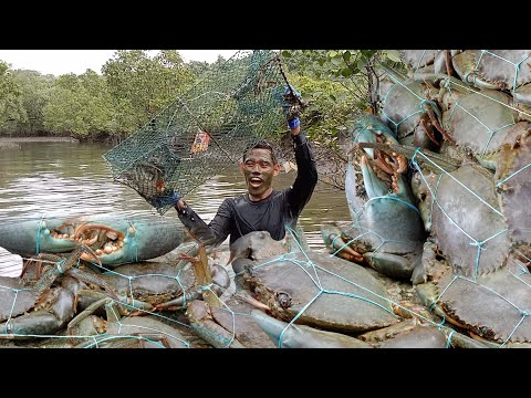 SUPER JACKPOT/ nahuli Namin Ang matandang alimango SA ilog