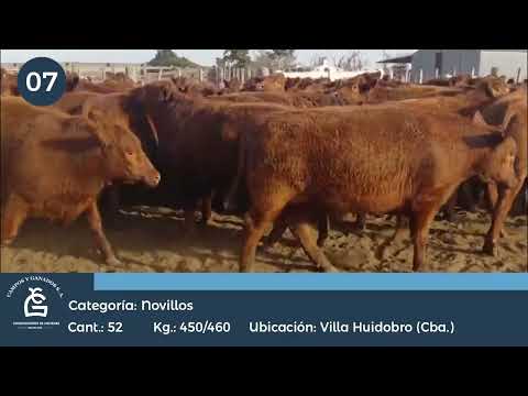 Lote Nv Consumo - Villa Huidobro Córdoba