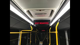 Riding on the Proterra Catalyst E2 Battery-Electric B57 Bus towards Red Hook Ikea Terminal