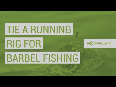 The Rig Guide: How to tie a Running Rig for Barbel Fishing!