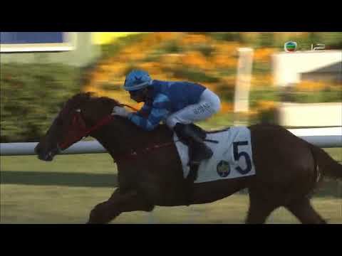 HKJC八仟師 (E330) 2021-10-24 第3班 1200米 騎師莫雷拉 練馬師羅富全 (超級馬)