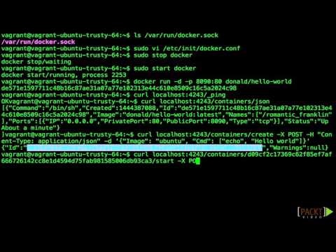 Beginning Docker Using the Docker Remote API | packtpub com