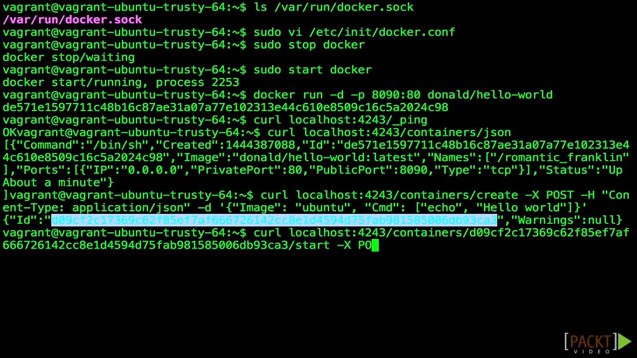 Beginning Docker: Using the Docker Remote API | packtpub.com