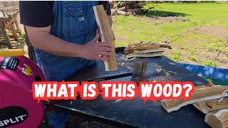 A little game of name this wood species.  Can you guess what type of wood this is?