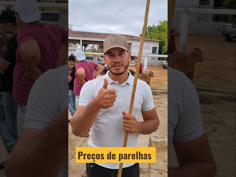 Preços de parelhas em Afogados da Ingazeira-PE