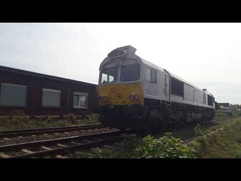 CLASS 77 "247 059-9" EURO CARGO RAIL • DB Cargo Deutschland AG