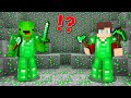 Minecraft But I have $1,000,000 Emeralds