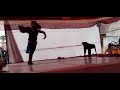 Shuk Shuk Popat Fatfajiti Film