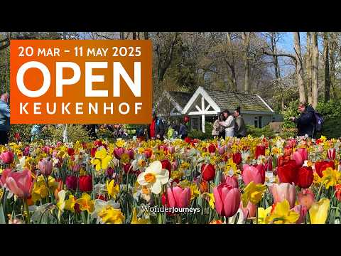Keukenhof 2025 GEÖFFNET 🌷20. März – 11. Mai [4K]