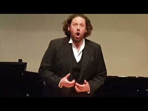 Matija Meić - Cortigani, vil razza dannata (Rigoletto)