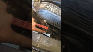 HDJ100 / 1HDFTE alternator and aircon belts