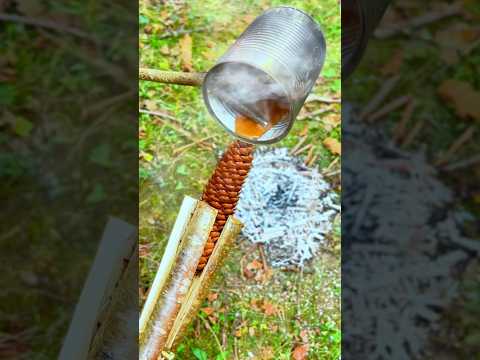 Survival Skills: Make a Torch with Natural Materials #survival #bushcraft #camping #lifehacks