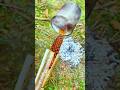Survival Skills Make A Torch With Natural Materials Survival Bushcraft Camping Lifehacks
