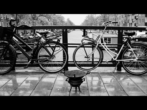 Salvaged a hibachi grill, a quick restoration, and a perfect picnic just outside Amsterdam.