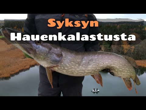 Hauenkalastusta syksyllä [ Syyshauen kalastusta merellä marraskuussa ]