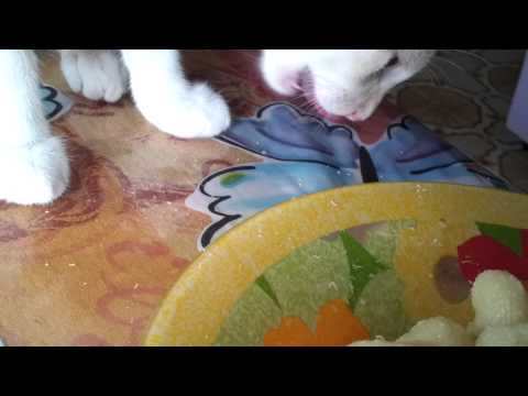 Pipette rigate ai formaggi...buon appetito! :)