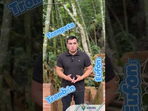 🎶 ¡Nimaima fortalece la cultura con la Escuela de Formación de la Banda Sinfónica de Nimaima!