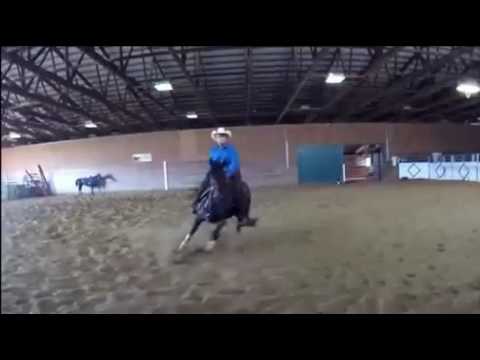 Scott McKinsey Bullseye Video Flag Trainer using his CowTrac