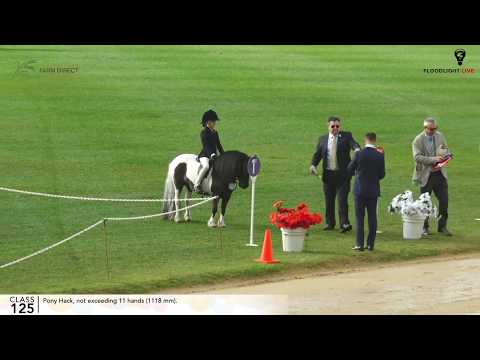 2018 Butterfields Farm Direct Royal Adelaide Show Main Arena LIVE - Day 2
