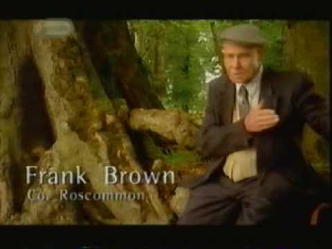 Legend of the Isles - Fairies and Leprechauns  1 of 3